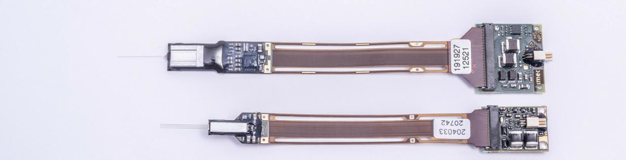 Photo of Neuropixels probes (Imec)