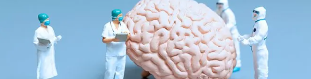 Shutterstock image - brain researchers