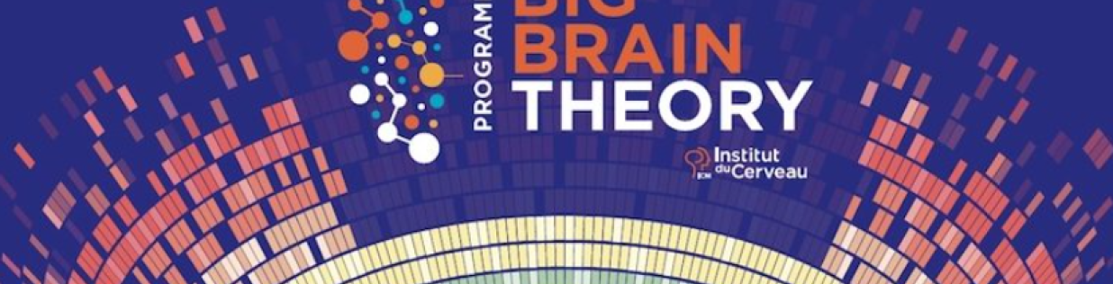 big brain theory call